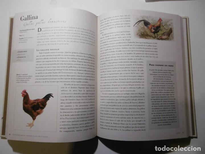 Libros de segunda mano: 50 ANIMALES QUE HAN CAMBIADO EL CURSO DE LA HISTORIA. - Foto 2