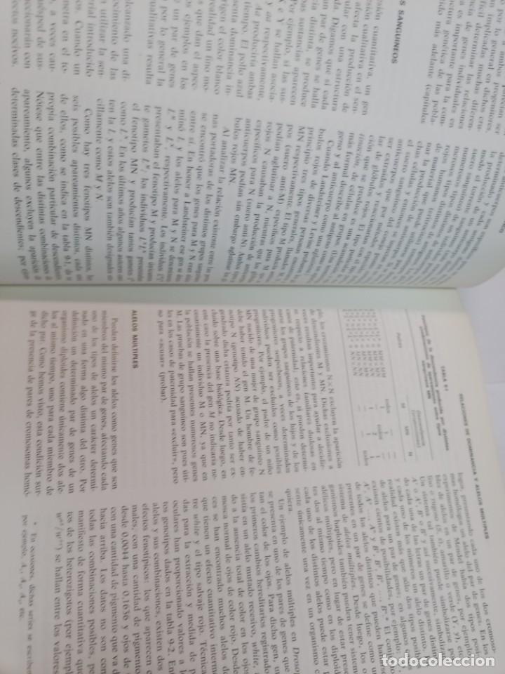 Libros de segunda mano: MONROE W. STRICKBERGER Gen&eacute;tica SA6055 - Foto 4