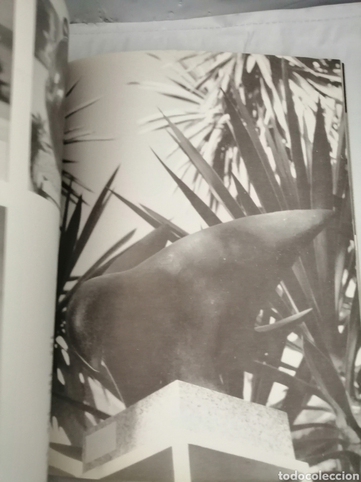 Libros de segunda mano: MARINO AMAYA - Foto 10