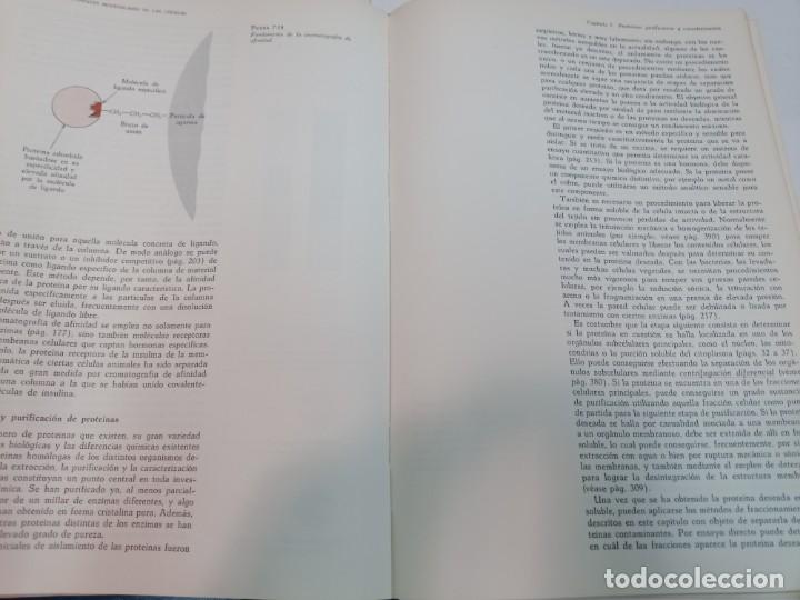 Libros de segunda mano: A. L. LEHNINGER BIoquimica SA6084 - Foto 3