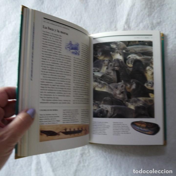 Libros de segunda mano: LOS ESP&Iacute;RITUS ANIMALES - NICHOLAS J. SAUNDERS - C&Iacute;RCULO DE LECTORES - 1996 - Foto 8