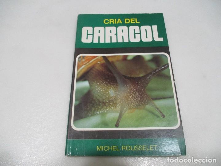 Libros de segunda mano: MICHEL ROUSSELET Cr&iacute;a del caracol W10322 - Foto 1