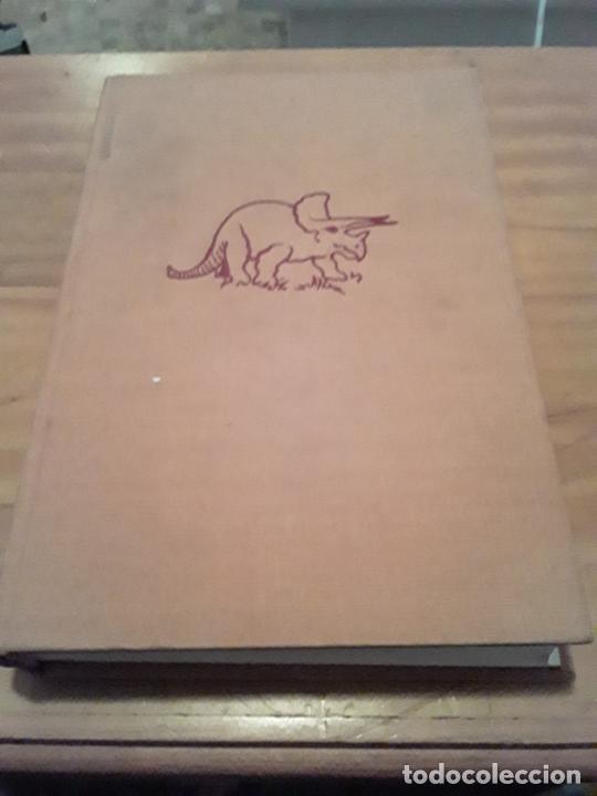 Libri di seconda mano: LOS ENIGMAS DEL UNIVERSO.ANTONIO GONZALEZ DE GUZMAN.EDIT.LABOR.1966.449 PAGINAS.