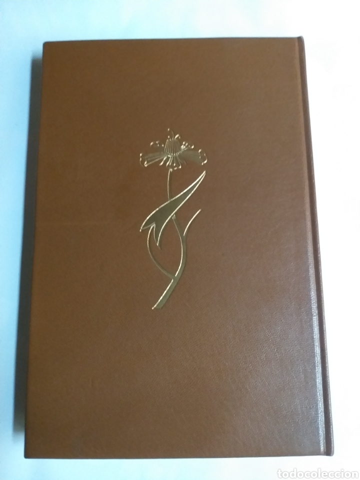 Libros de segunda mano: Imagen de los Baroja . Banco ib&eacute;rico 1972 - Foto 9