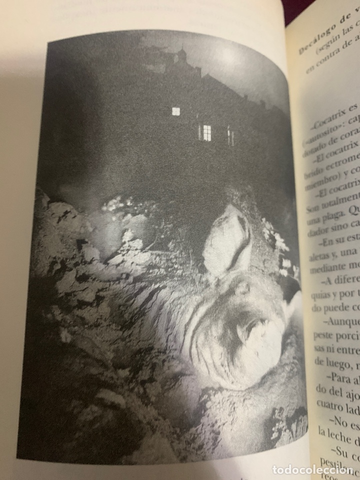 Libros de segunda mano: Bestiario. AA. VV. Ed. Siruela. - Foto 9