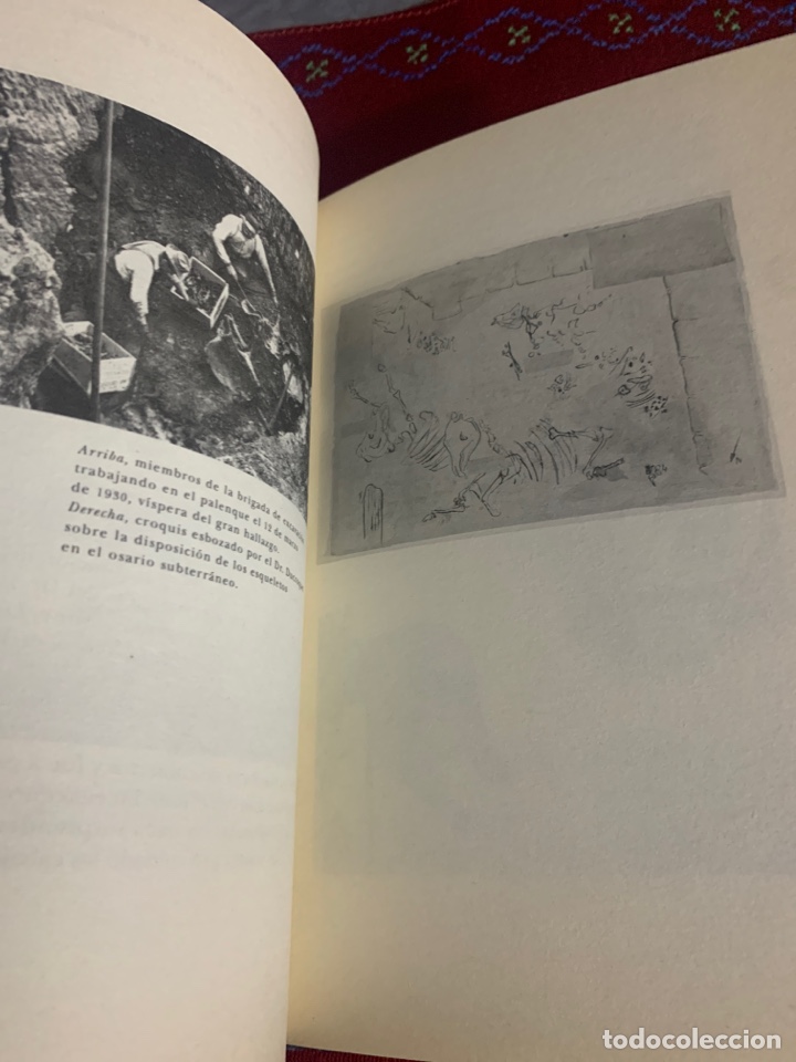 Libros de segunda mano: Bestiario. AA. VV. Ed. Siruela. - Foto 10