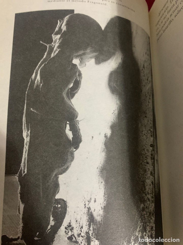 Libros de segunda mano: Bestiario. AA. VV. Ed. Siruela. - Foto 5
