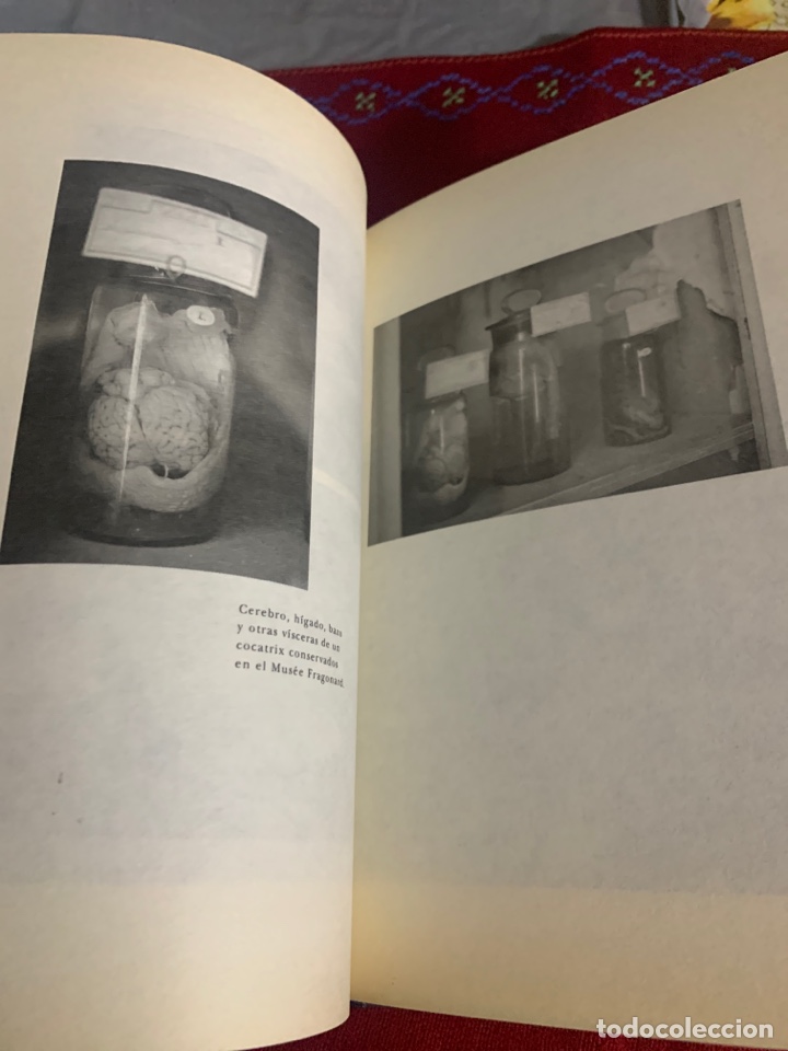 Libros de segunda mano: Bestiario. AA. VV. Ed. Siruela. - Foto 7