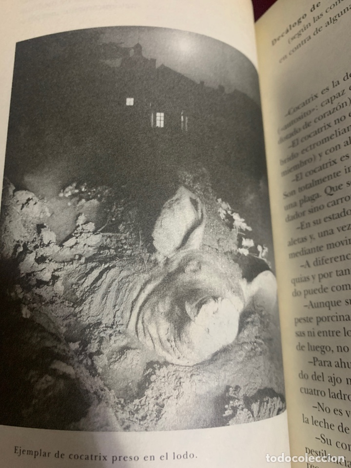 Libros de segunda mano: Bestiario. AA. VV. Ed. Siruela. - Foto 10