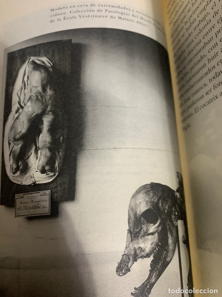 Libros de segunda mano: Bestiario. AA. VV. Ed. Siruela. - Foto 11