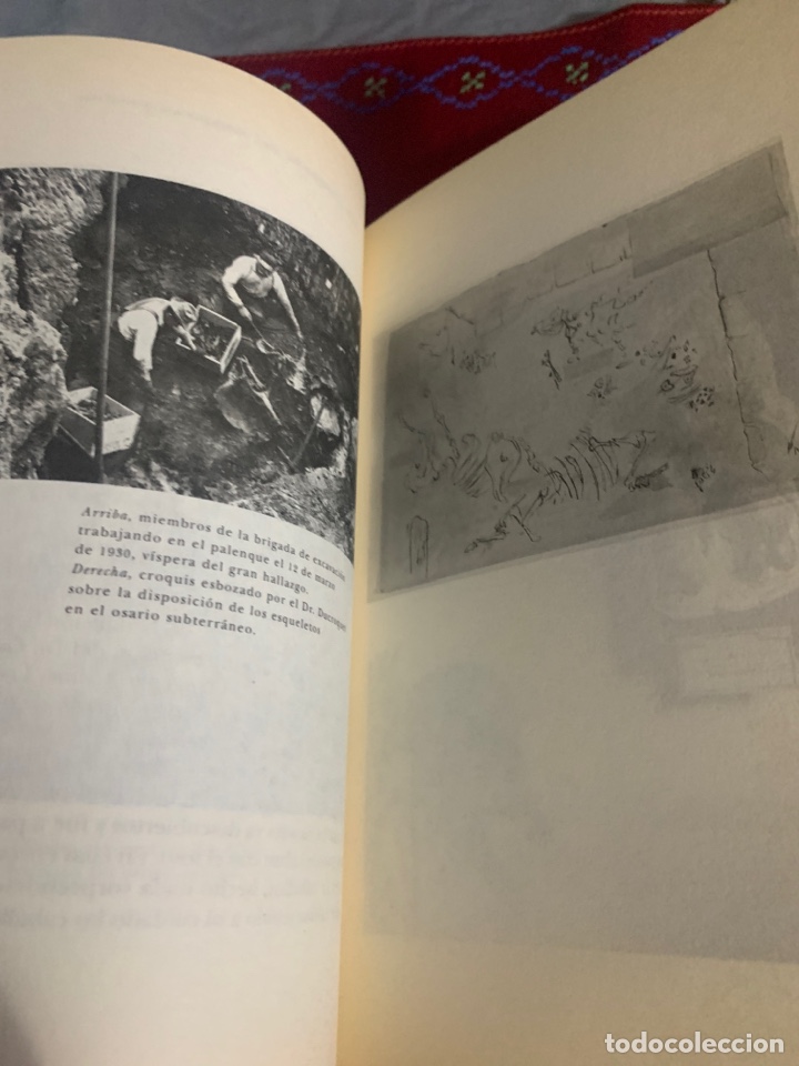 Libros de segunda mano: Bestiario. AA. VV. Ed. Siruela. - Foto 12