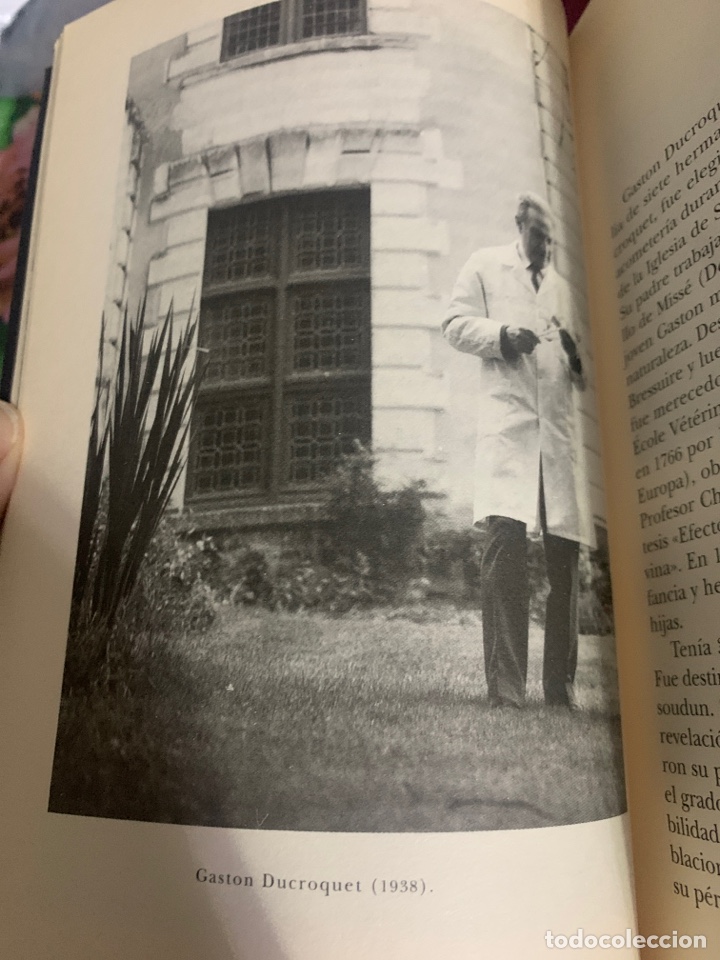 Libros de segunda mano: Bestiario. AA. VV. Ed. Siruela. - Foto 14
