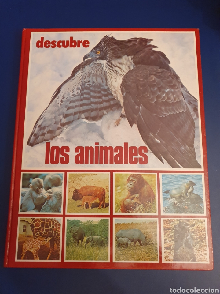 Libros de segunda mano: DESCUBRE LOS ANIMALES EDITORIAL ALFREDO ORTELLS - Foto 1