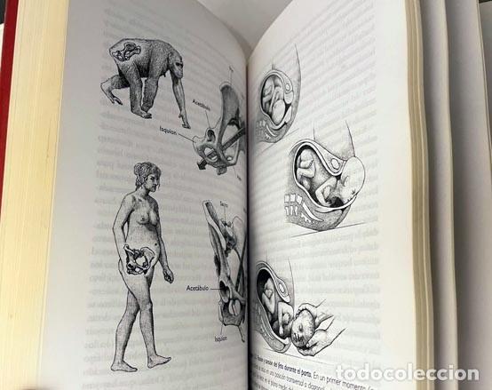 Libros de segunda mano: Arsuaga, Juan L. / I. Mart&iacute;nez : La especie elegida (Proyecto Atapuerca) - Foto 1