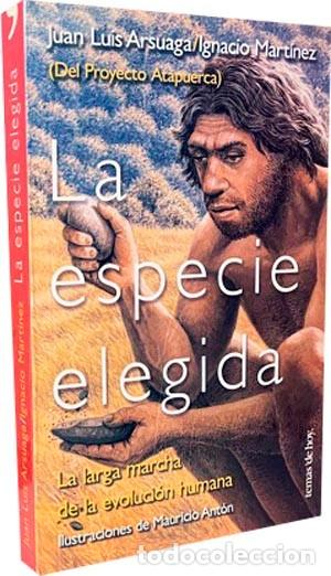 Libros de segunda mano: Arsuaga, Juan L. / I. Mart&iacute;nez : La especie elegida (Proyecto Atapuerca) - Foto 3