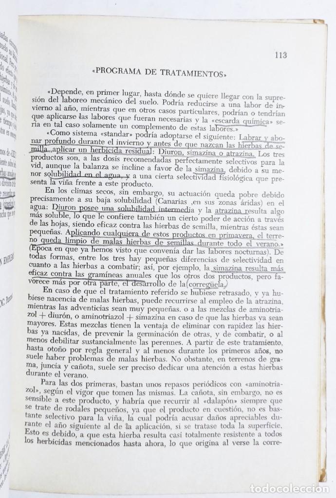 Libros de segunda mano: J. RODR&Iacute;GUEZ. LA VID Y LOS VINOS DE CANARIAS. 1976. - Foto 3