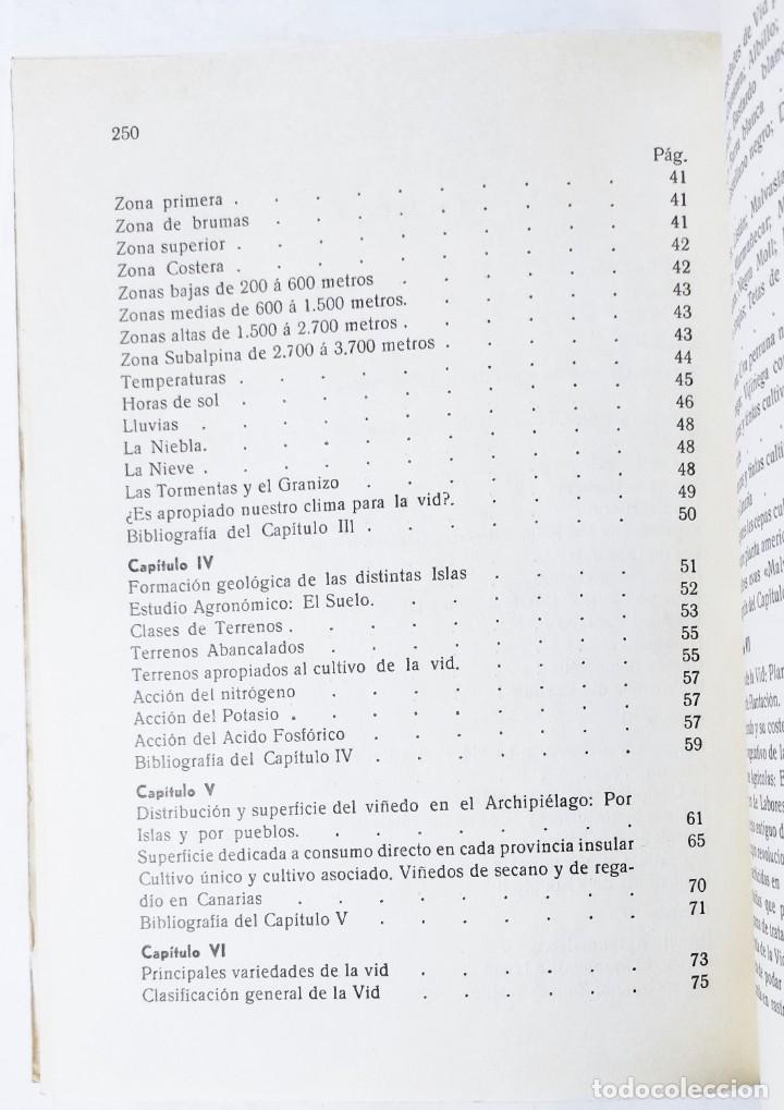 Libros de segunda mano: J. RODR&Iacute;GUEZ. LA VID Y LOS VINOS DE CANARIAS. 1976. - Foto 5