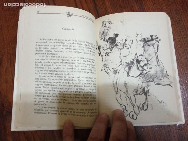 Libros de segunda mano: EL ROJA EMBLEMA DEL VALOR - STEPHEN CRANE - TUS LIBROS -ANAYA. - Foto 3