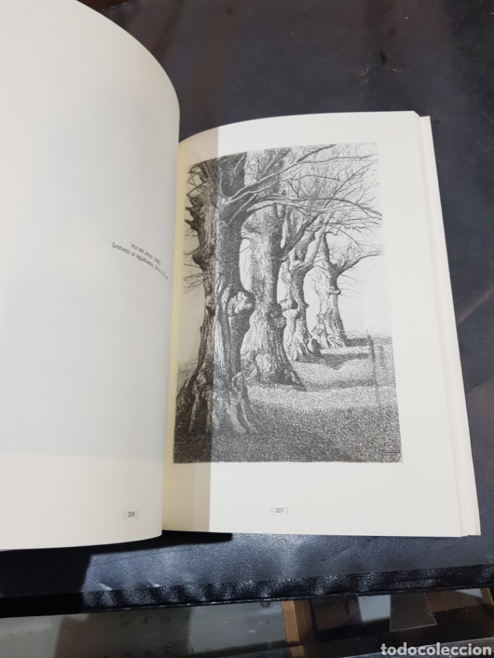 Libros de segunda mano: Libro Daniel Quintero grabados Museo Pablo Gargallo Zaragoza 2011 - Foto 3