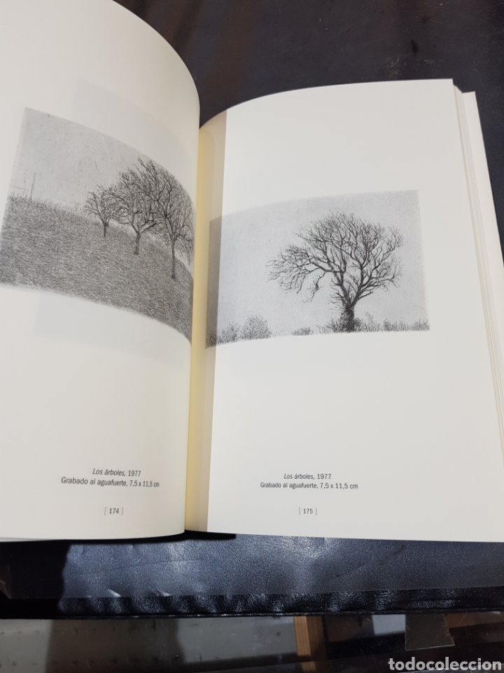 Libros de segunda mano: Libro Daniel Quintero grabados Museo Pablo Gargallo Zaragoza 2011 - Foto 4