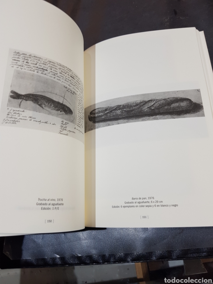 Libros de segunda mano: Libro Daniel Quintero grabados Museo Pablo Gargallo Zaragoza 2011 - Foto 5