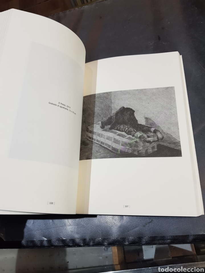 Libros de segunda mano: Libro Daniel Quintero grabados Museo Pablo Gargallo Zaragoza 2011 - Foto 6