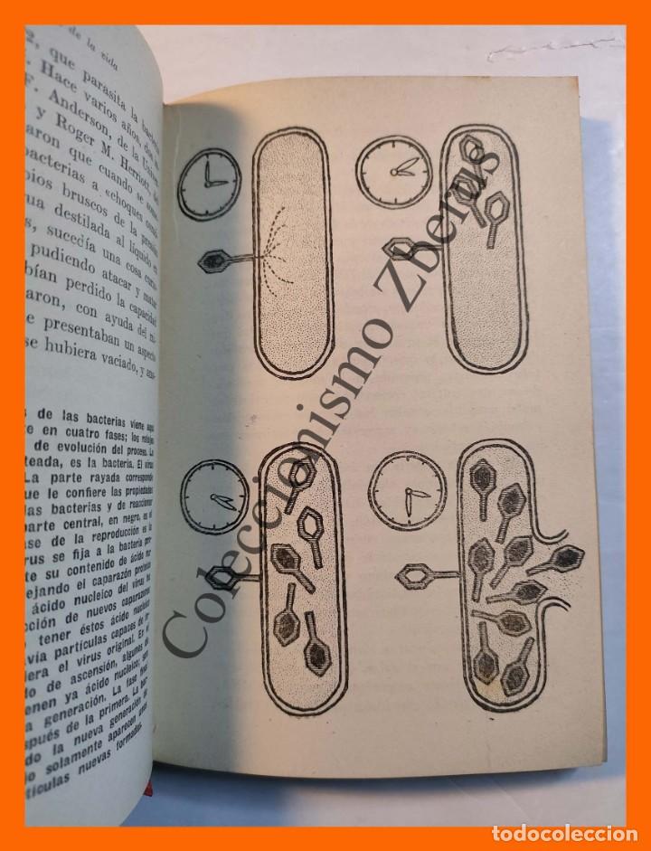 Libros de segunda mano: FISICA y Quimica de la Vida - Revista de Occidente - Foto 2