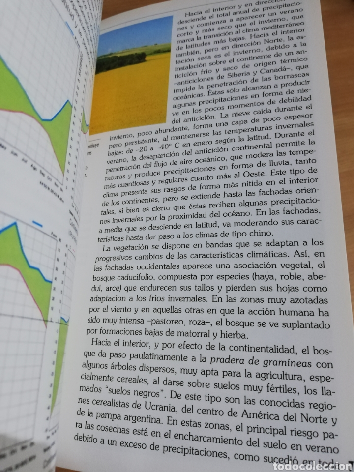 Libros de segunda mano: TIEMPO Y CLIMA (MANUEL TOHARIA) - Foto 4