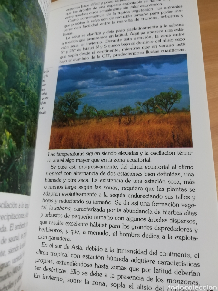 Libros de segunda mano: TIEMPO Y CLIMA (MANUEL TOHARIA) - Foto 6