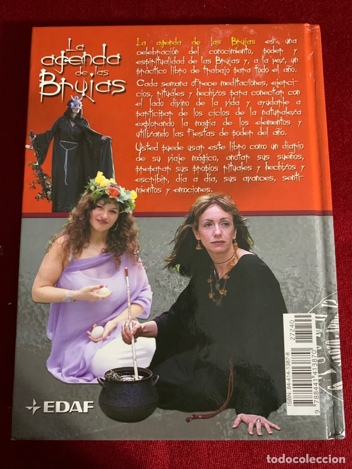 Libros de segunda mano: La agenda de las brujas. Sheena Morgan. Ed. EDAF. - Foto 2