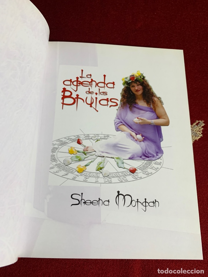 Libros de segunda mano: La agenda de las brujas. Sheena Morgan. Ed. EDAF. - Foto 3