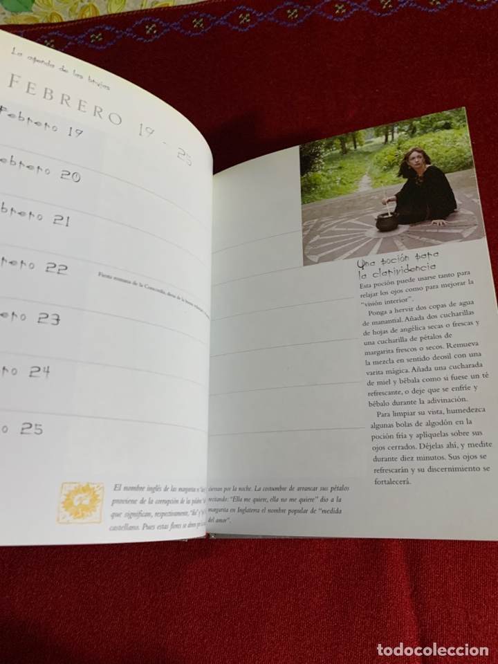 Libros de segunda mano: La agenda de las brujas. Sheena Morgan. Ed. EDAF. - Foto 4