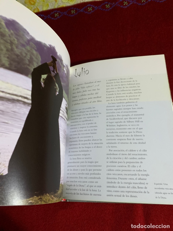 Libros de segunda mano: La agenda de las brujas. Sheena Morgan. Ed. EDAF. - Foto 5