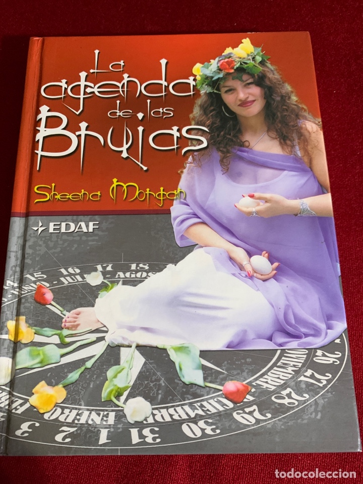 Libros de segunda mano: La agenda de las brujas. Sheena Morgan. Ed. EDAF. - Foto 1