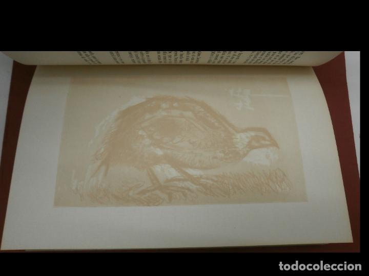 Libros de segunda mano: Cr&oacute;nicas del Guarda Mayor. Nicolas Dorado. - Foto 2
