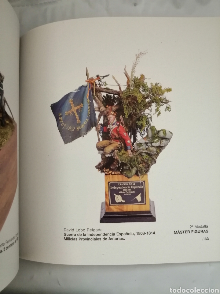 Libros de segunda mano: PREMIOS EJ&Eacute;RCITO 2015, 53 EDICI&Oacute;N: CAT&Aacute;LOGO DE OBRAS PREMIADAS (11 JUNIO 2015) - Foto 9