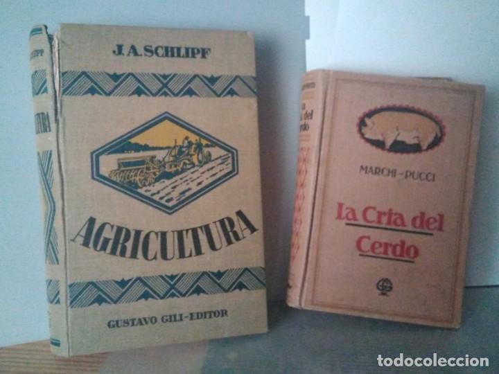 Libros de segunda mano: Agricultura de J.a. schlipf y La Cria del cerdo de Marchi - Pucci
