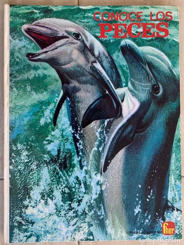 Libros de segunda mano: CONOCE LOS PECES. EDITORIAL FHER, SA. 1966. 25 X 19. - Foto 1