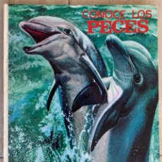 Libros de segunda mano: CONOCE LOS PECES. EDITORIAL FHER, SA. 1966. 25 X 19.. Lote 300367048