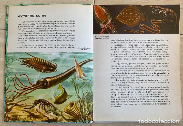 Libros de segunda mano: CONOCE LOS PECES. EDITORIAL FHER, SA. 1966. 25 X 19. - Foto 4