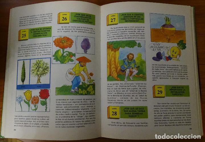 Libros de segunda mano: Una pregunta para cada d&iacute;a. - Foto 2