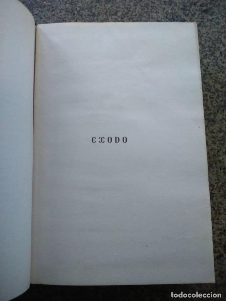 Libros de segunda mano: EXODO -- LEON URIS -- EDITORIAL BRUGUERA -- - Foto 1