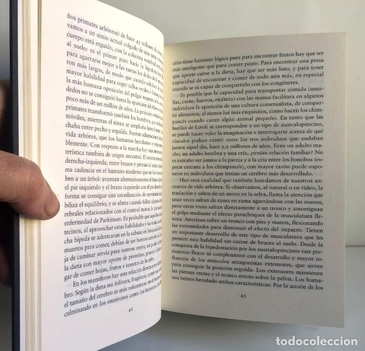 Libros de segunda mano: EL CEREBRO DEL REY. Nolasc Acar&iacute;n - Foto 8
