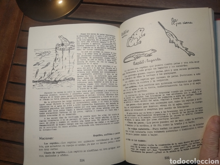 Libros de segunda mano: Enciclopedia &Aacute;lvarez tercer grado . edici&oacute;n numerada. Facs&iacute;mil 1997 - Foto 6