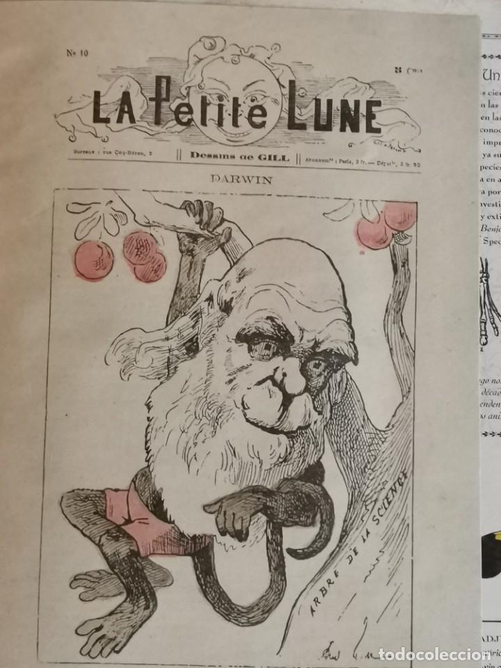Libros de segunda mano: Darwin. El Hombre que cambi&oacute; la Historia de la Ciencia - Foto 9