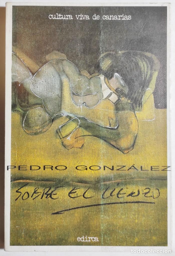 Libros de segunda mano: PEDRO GONZ&Aacute;LEZ. SOBRE EL LIENZO. 1985. CANARIAS. - Foto 1