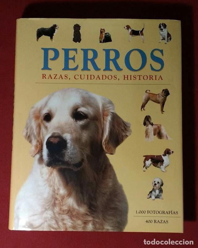 Libros de segunda mano: PERROS - JULIETTE CUNLIFFE - Foto 1