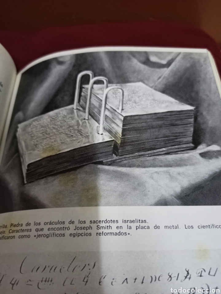 Libros de segunda mano: Libro.La estrategia de los dioses. - Foto 4