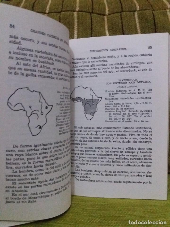 Libros de segunda mano: GRANDES CACER&Iacute;AS en &Aacute;frica Central - Foto 5