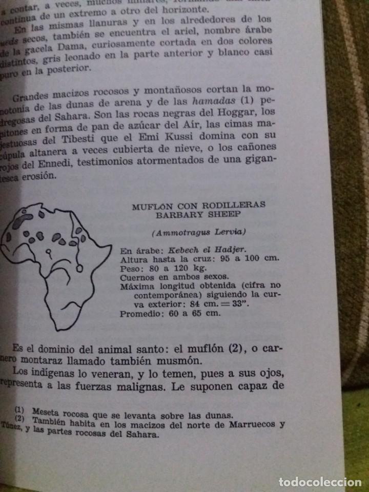 Libros de segunda mano: GRANDES CACER&Iacute;AS en &Aacute;frica Central - Foto 6